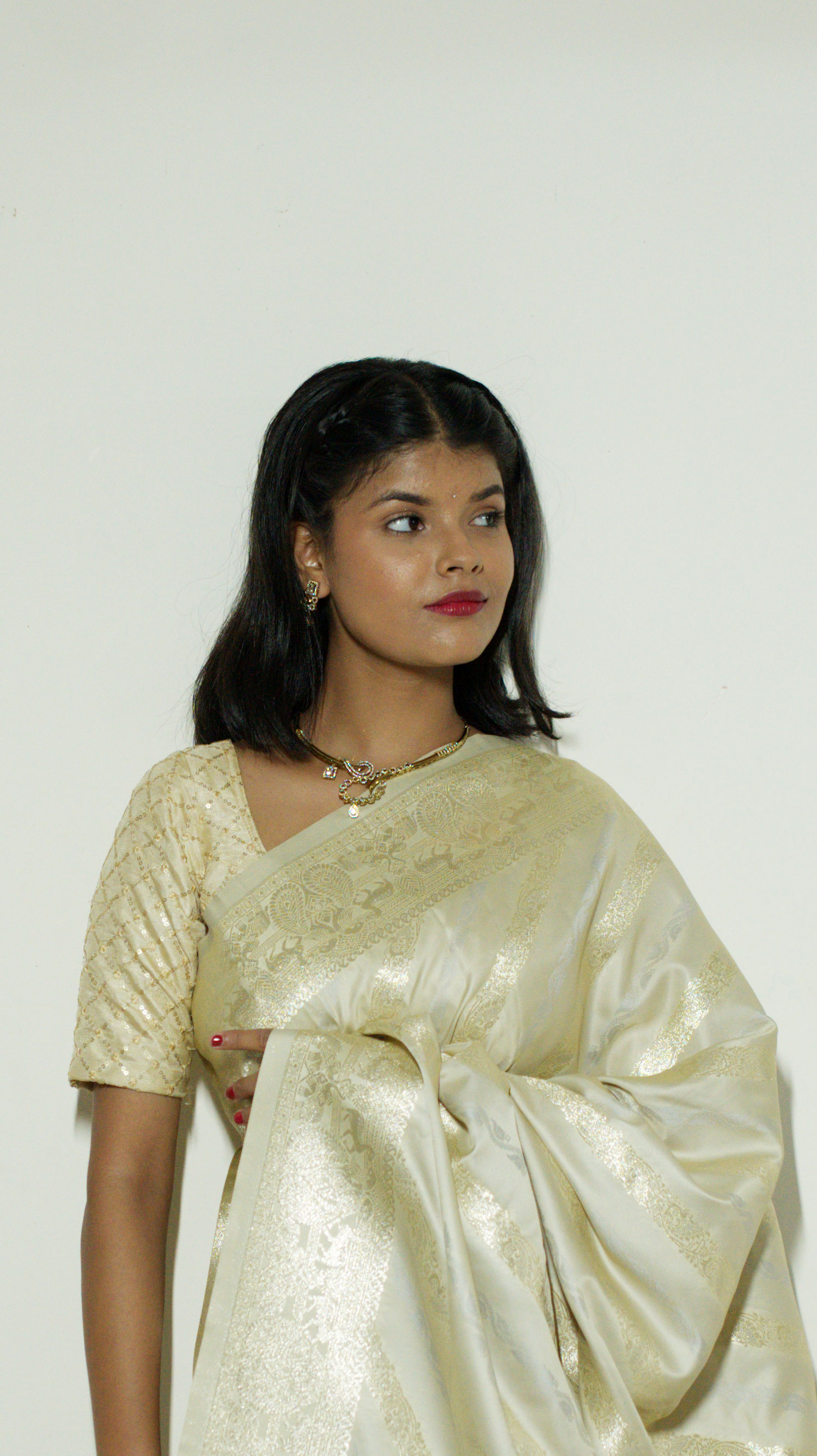 Swarna Rekha Shaitan Silk Tanchui Banarasi Saree